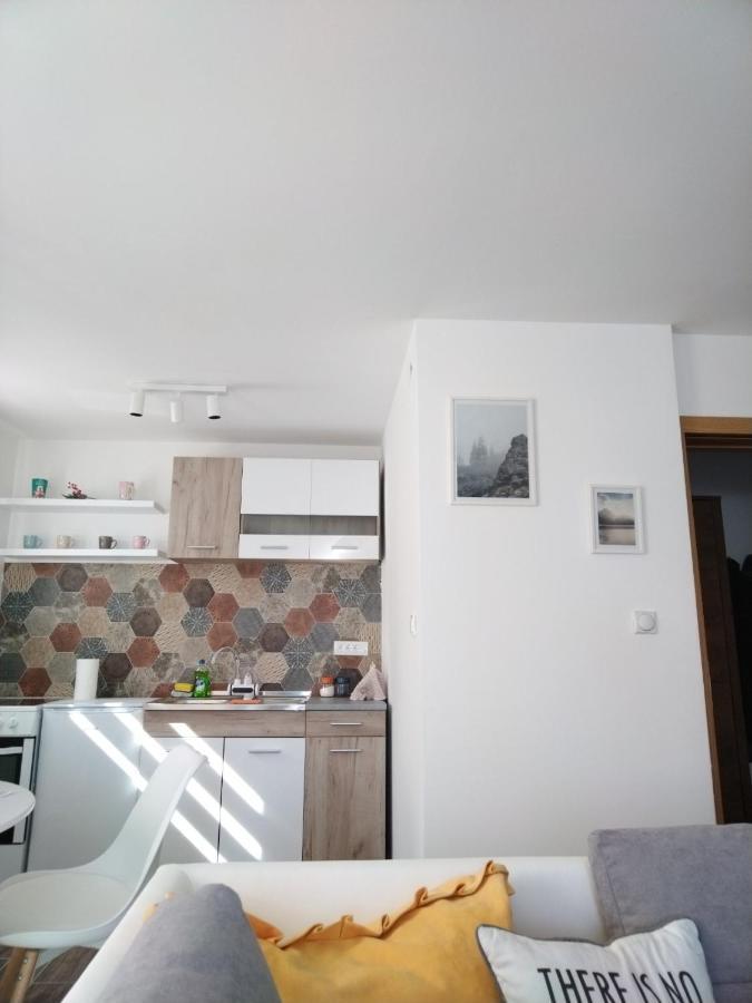 Apartman Milly コパオニク エクステリア 写真